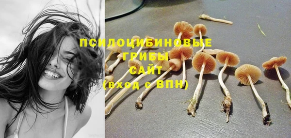 a pvp Арсеньев