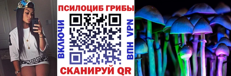 Псилоцибиновые грибы Psilocybe  наркошоп  Ужур 